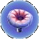 Acid Mushroom